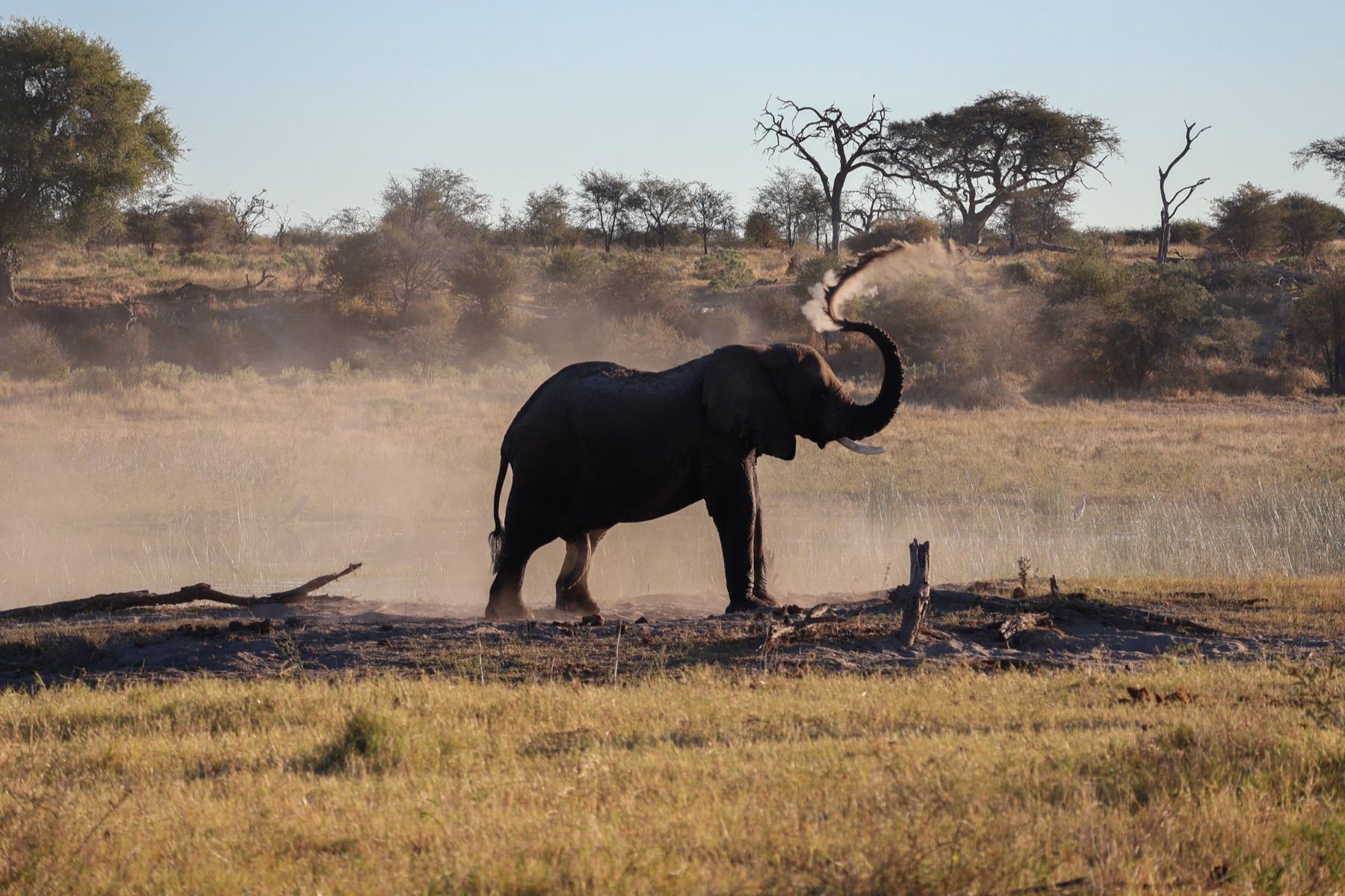 Africa Driven safari photography 5