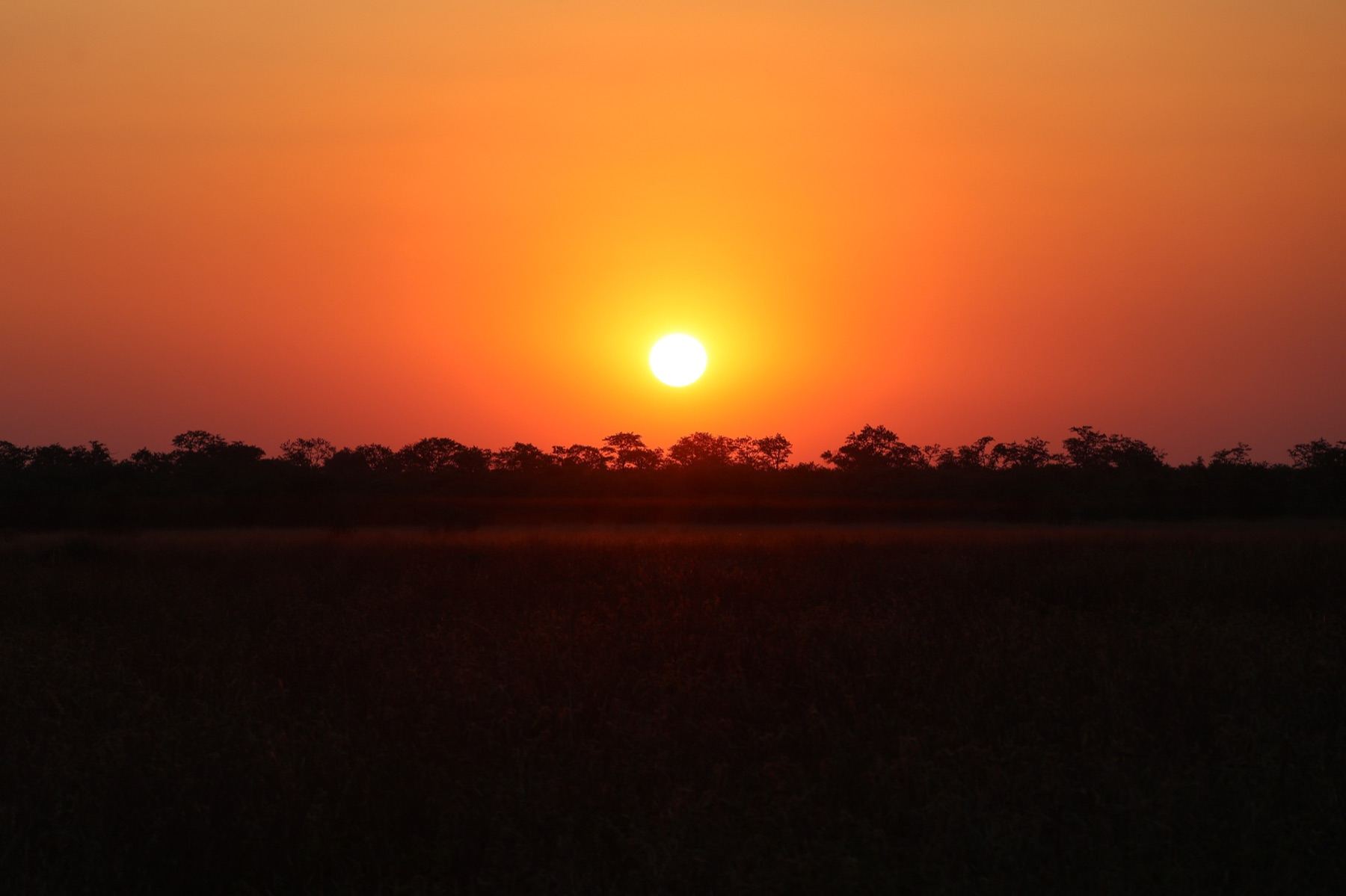 Africa Driven safari photography 18
