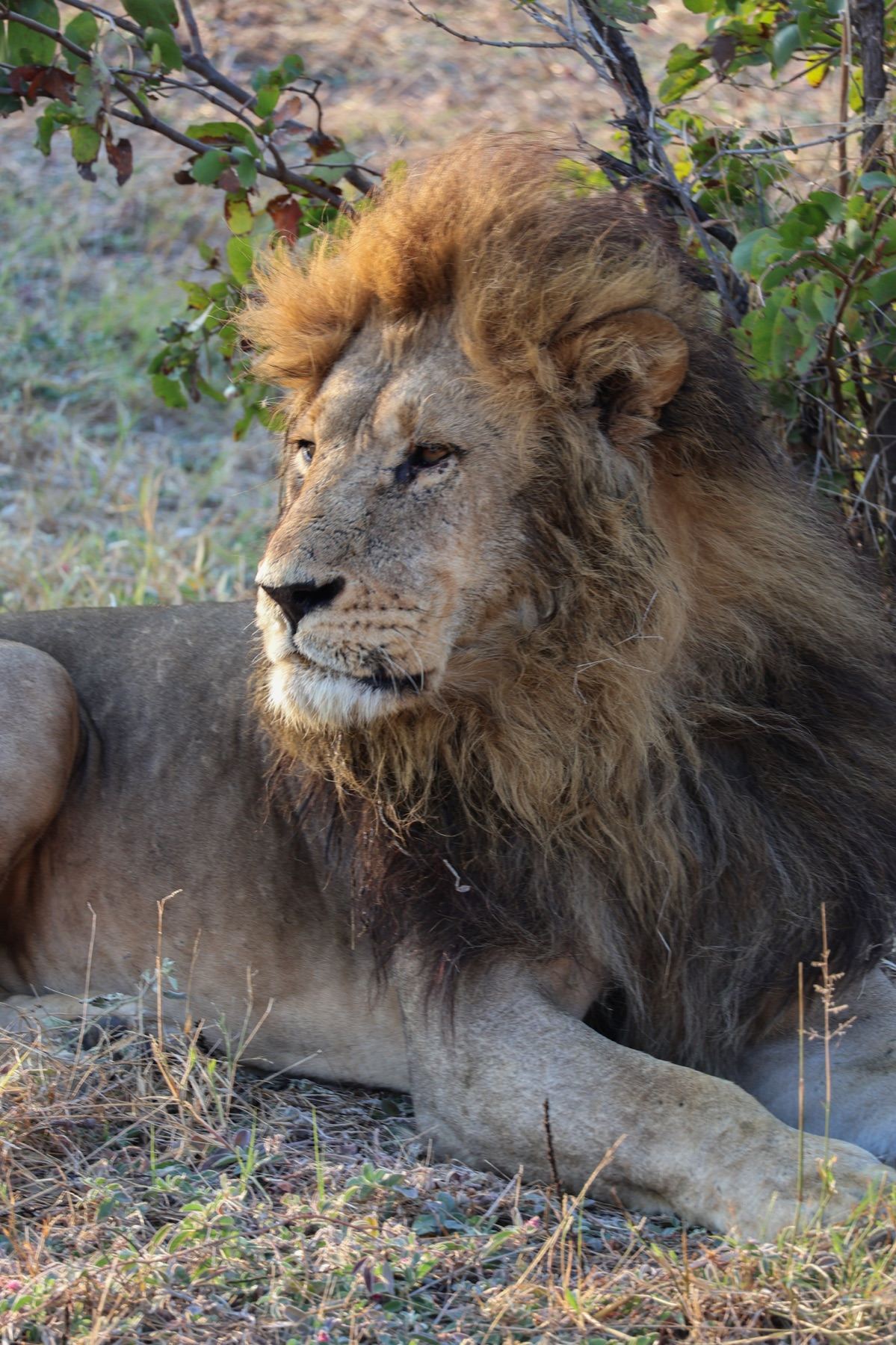 Africa Driven safari photography 25