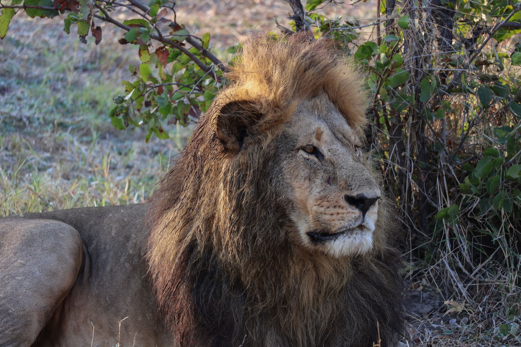 Africa Driven safari photography 26
